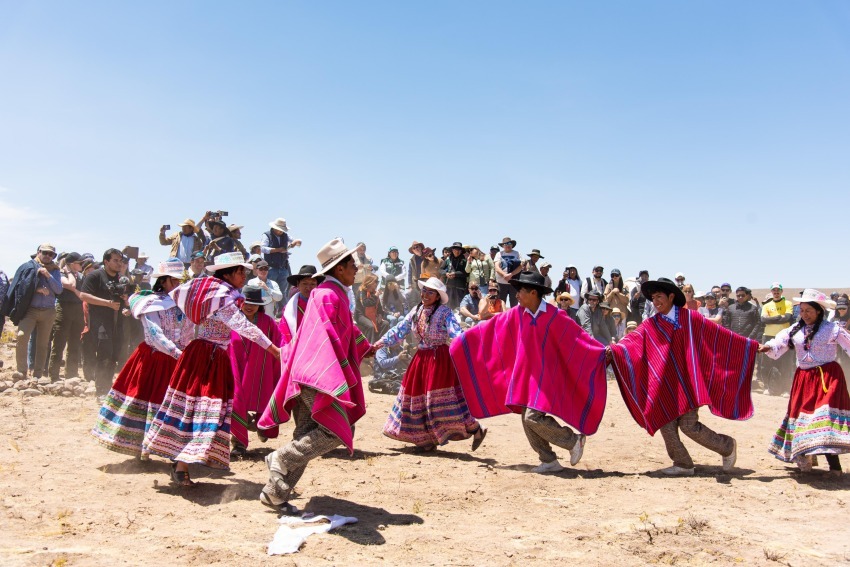 The Origin of Vicuña: A Link with Peru