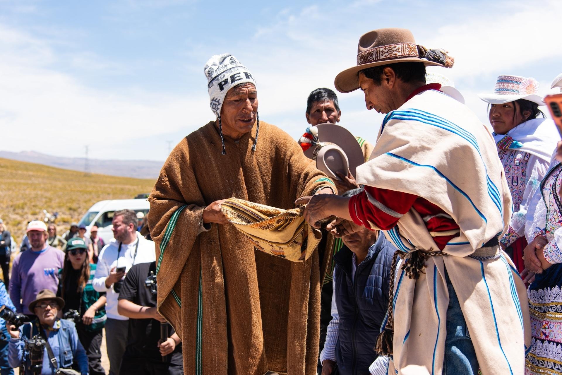 Vicuña